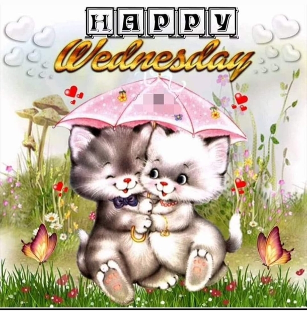 10 Beautiful Wednesday Quotes To Lift Your Spirits - picture 9
