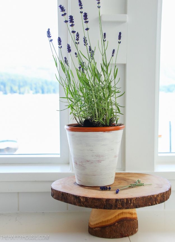 10 Beautiful & Creative Clay Pot Ideas - picture 7