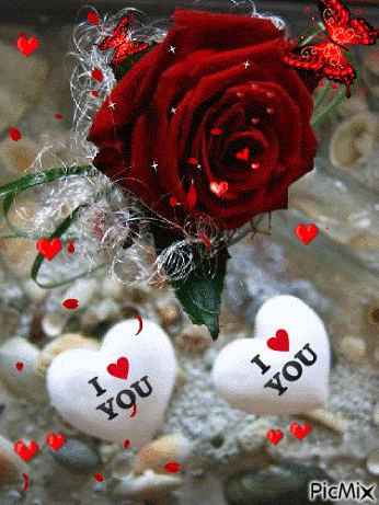 10 Beautiful & Romantic I Love You Quotes And Sayings - picture 9