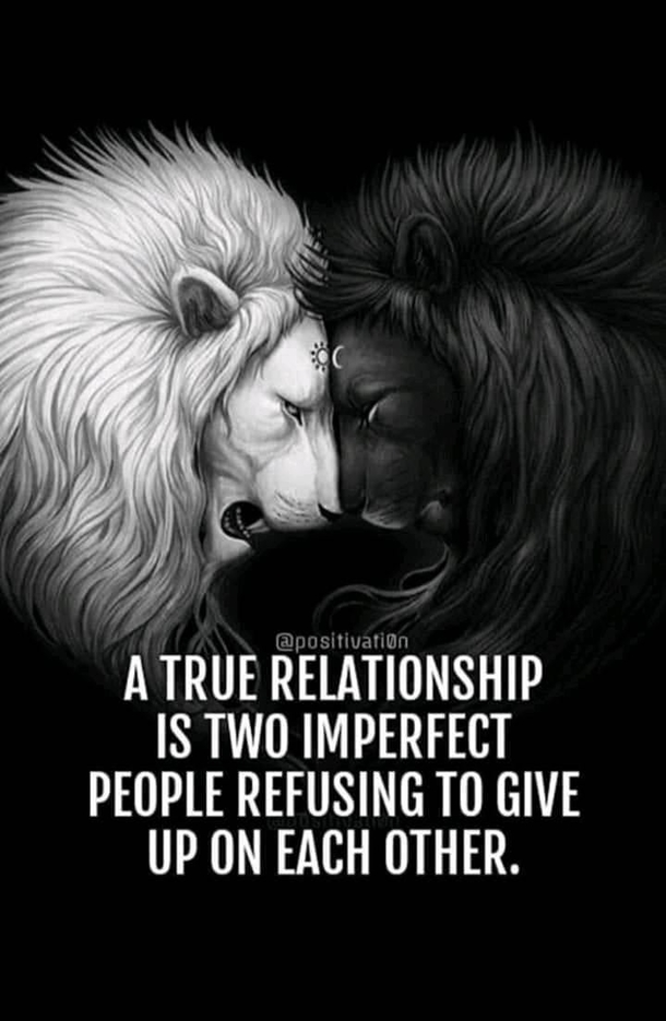 10+ Beautiful & Touching Love Images For The Soul - picture 7