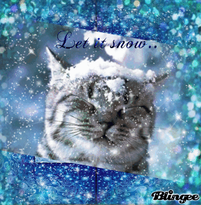 10 Beautiful "Let It Snow" Winter / Christmas Quotes - picture 5