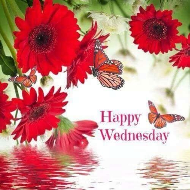10 Beautifully Inspired Wednesday Quotes To Push You Through The Rest Of The Week - picture 5