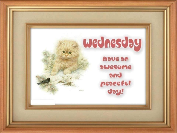 10 Beautifully Inspired Wednesday Quotes To Push You Through The Rest Of The Week - picture 9