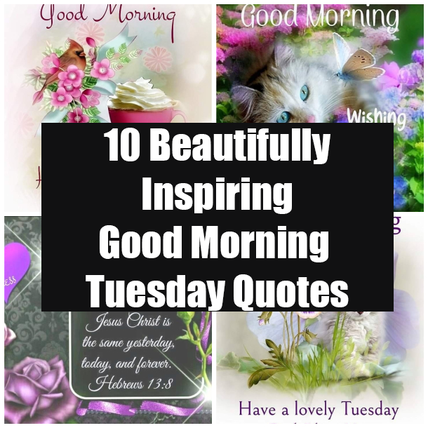10 Beautifully Inspiring Good Morning Tuesday Quotes