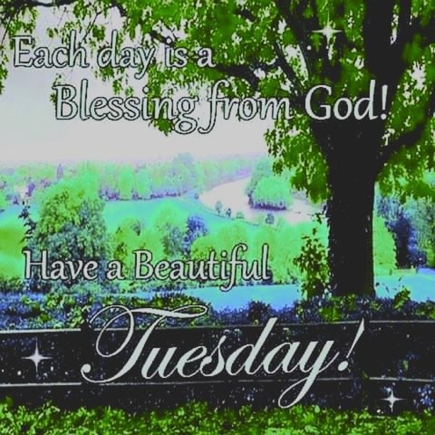 10 Beautifully Inspiring Good Morning Tuesday Quotes - picture 3