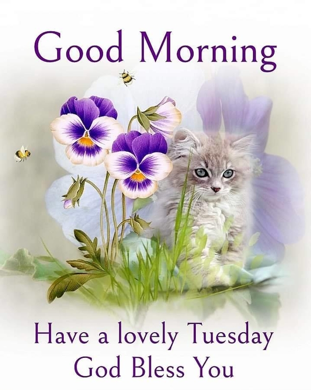 10 Beautifully Inspiring Good Morning Tuesday Quotes - picture 4