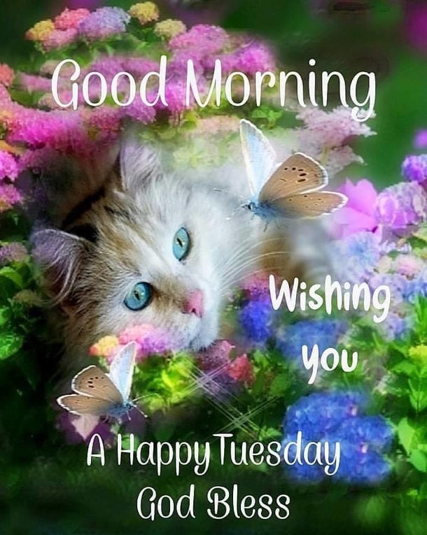 10 Beautifully Inspiring Good Morning Tuesday Quotes - picture 5