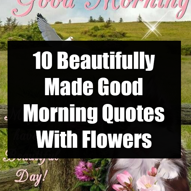 10 Beautifully Made Good Morning Quotes With Flowers