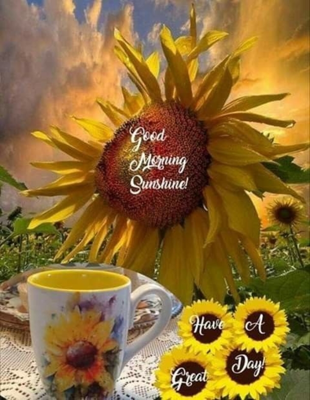 10 Beautifully Made Good Morning Quotes With Flowers - picture 10