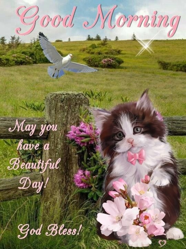 10 Beautifully Made Good Morning Quotes With Flowers - picture 11