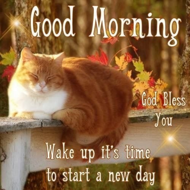 10 Beautifully Made Good Morning Quotes With Flowers - picture 12