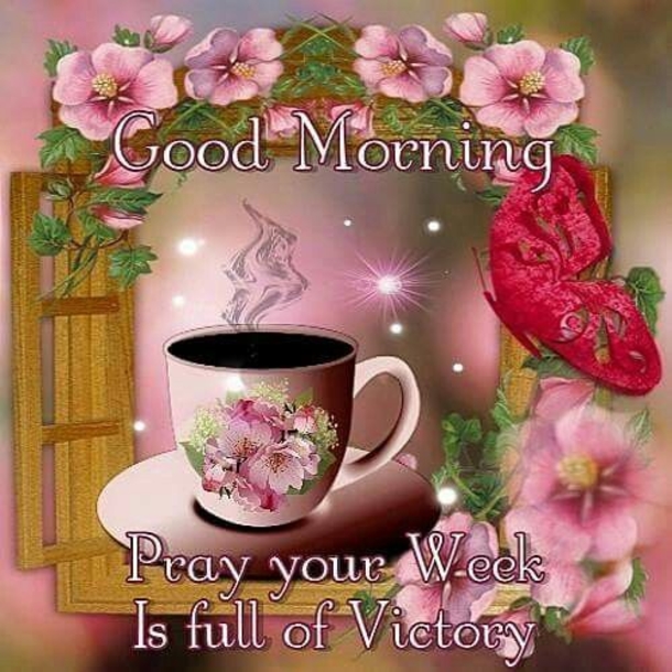 10 Beautifully Made Good Morning Quotes With Flowers - picture 13