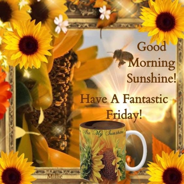 10 Beautifully Made Good Morning Quotes With Flowers - picture 3