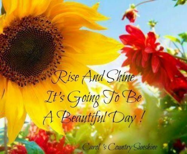 10 Beautifully Made Good Morning Quotes With Flowers - picture 4