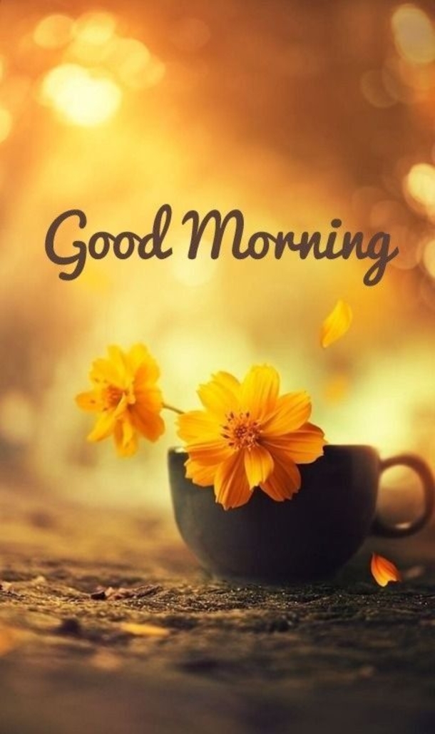 10 Beautifully Made Good Morning Quotes With Flowers - picture 7