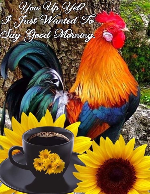 10 Beautifully Made Good Morning Quotes With Flowers - picture 8