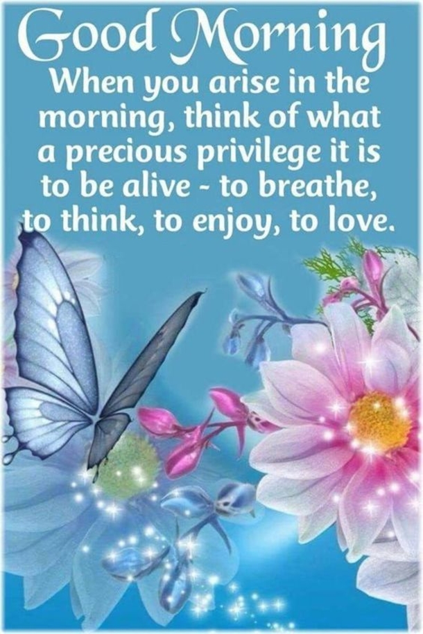 10 Beautifully Made Good Morning Quotes With Flowers - picture 9