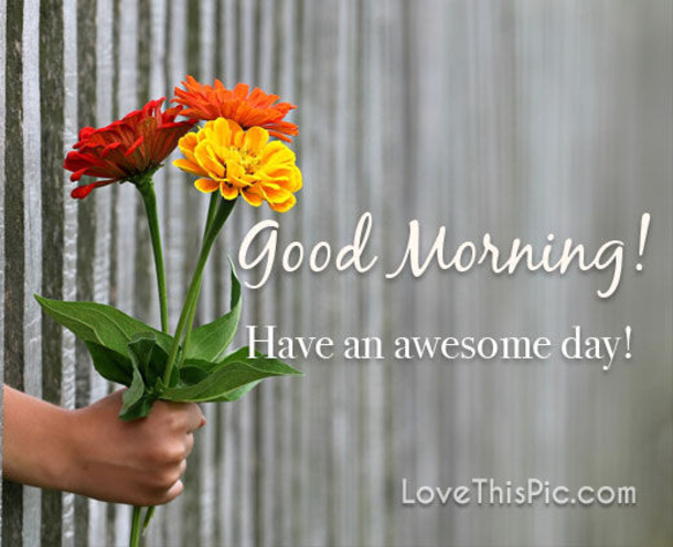 10 Beautifully Touching Good Morning Quotes And Sayings - picture 7