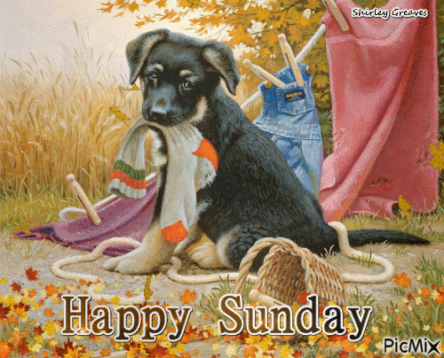 10 Best Animated Happy Sunday Quotes - picture 11