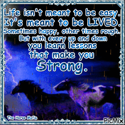 10 Best Animated Life Images With Quotes - picture 10