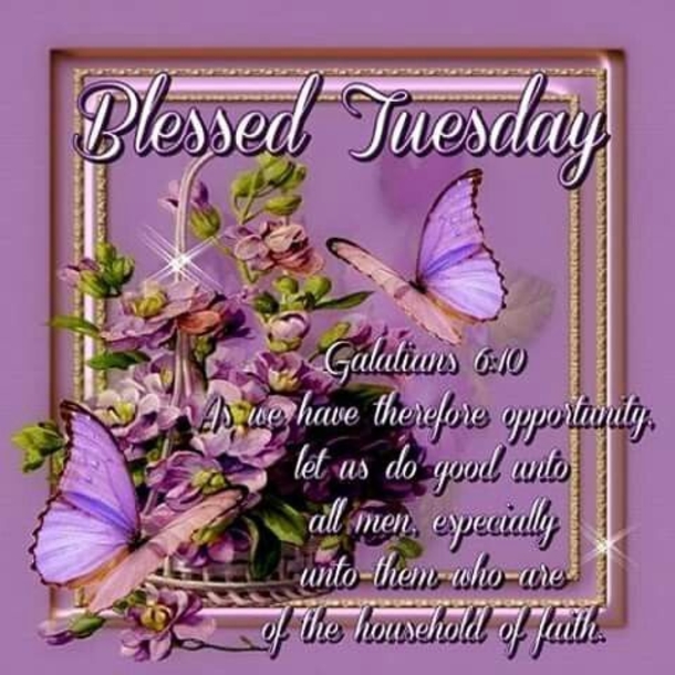 10 Best Beautiful Tuesday Image Quotes - picture 4