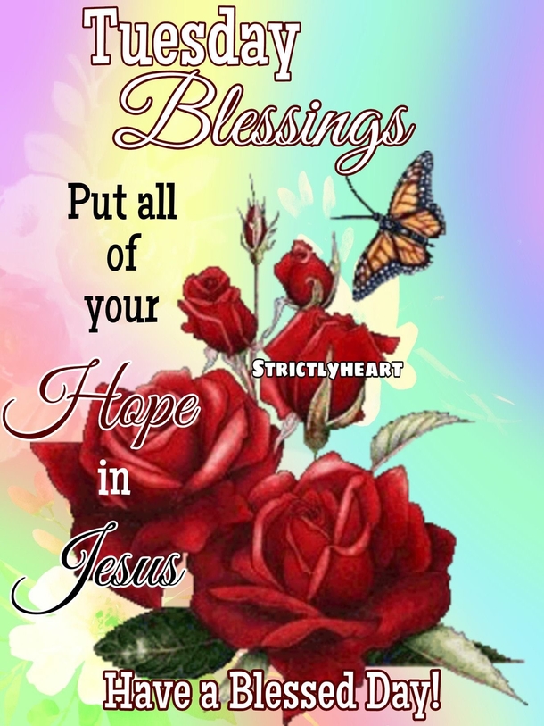 10 Best Beautiful Tuesday Image Quotes - picture 5