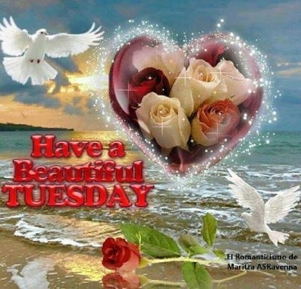 10 Best Beautiful Tuesday Image Quotes - picture 6