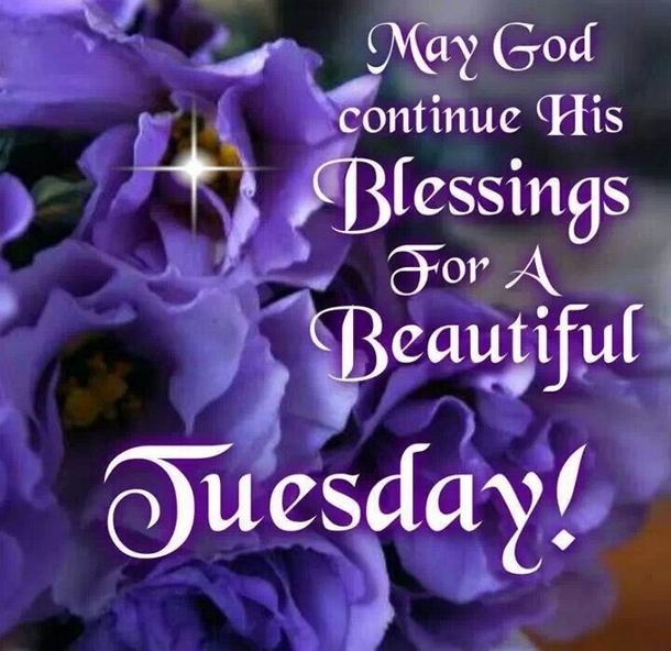 10 Best Beautiful Tuesday Image Quotes - picture 9