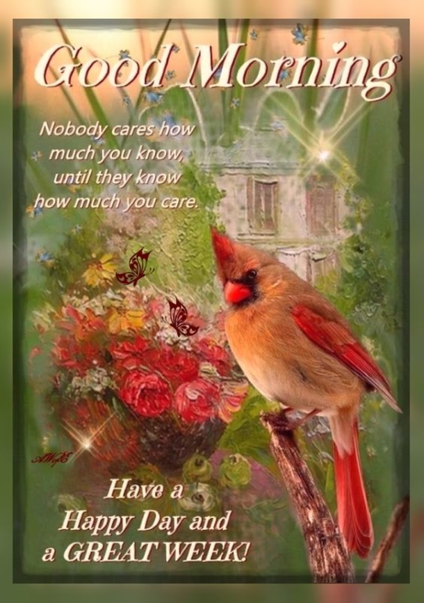 10 Best Blessed Monday Quotes And Sayings - picture 10
