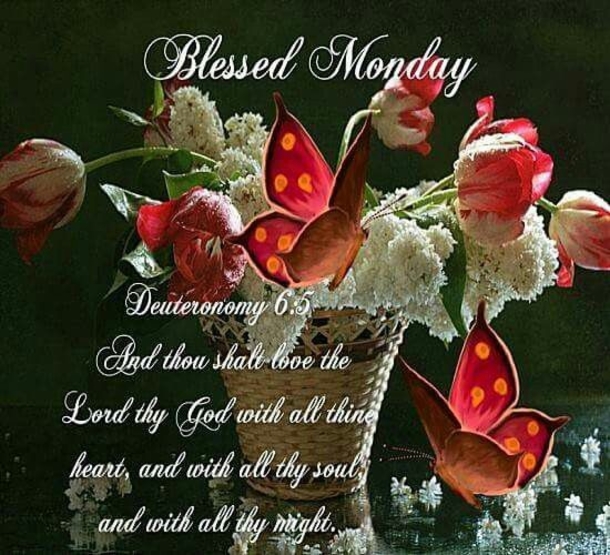 10 Best Blessed Monday Quotes And Sayings - picture 6