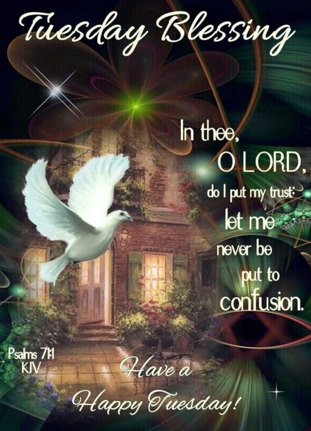 10 Best Blessed Tuesday Quotes - picture 11