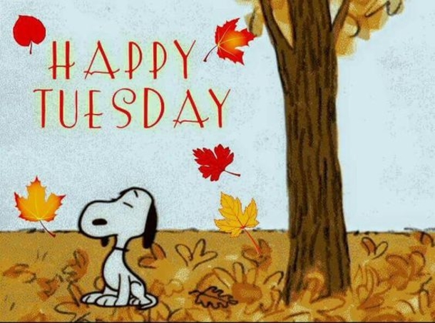 10 Best Blessed Tuesday Quotes - picture 2