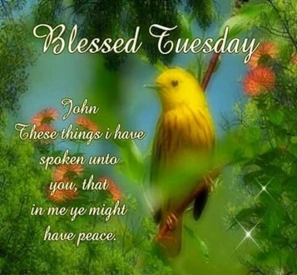 10 Best Blessed Tuesday Quotes, Sayings And Images - picture 3