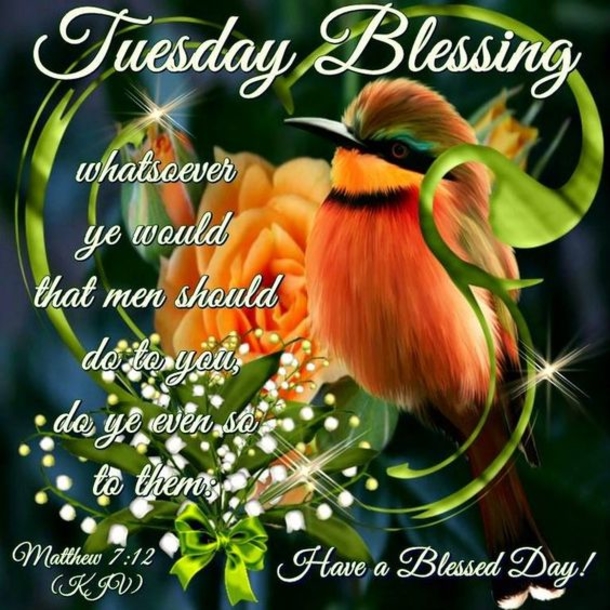 10 Best Blessed Tuesday Quotes, Sayings And Images - picture 4