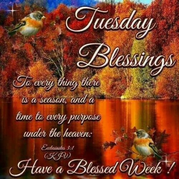 10 Best Blessed Tuesday Quotes, Sayings And Images - picture 5