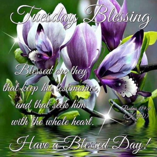10 Best Blessed Tuesday Quotes, Sayings And Images - picture 6