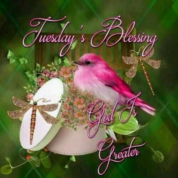 10 Best Blessed Tuesday Quotes, Sayings And Images - picture 8