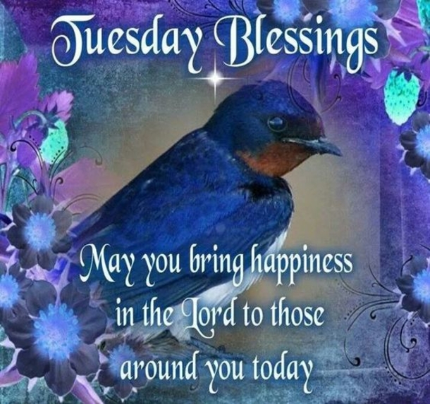 10 Best Blessed Tuesday Quotes, Sayings And Images - picture 9