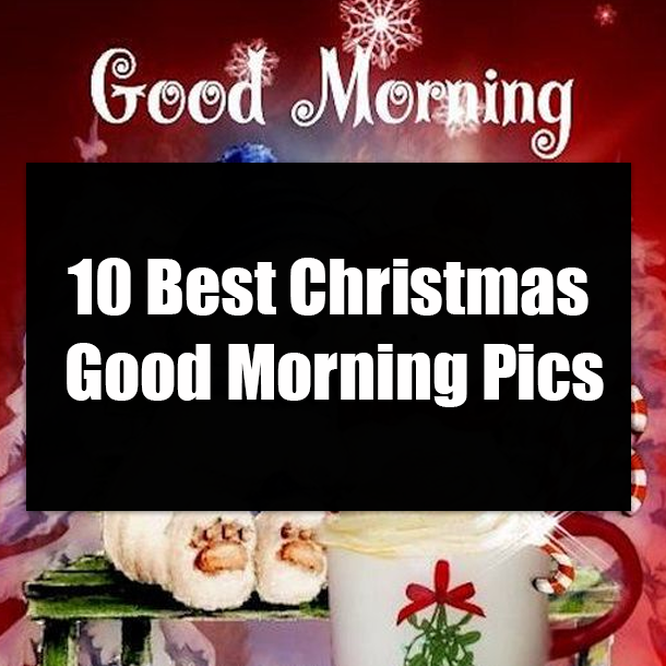 10 Best Christmas Good Morning Pics