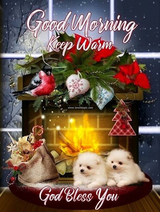 10 Best Christmas Good Morning Pics - picture 11