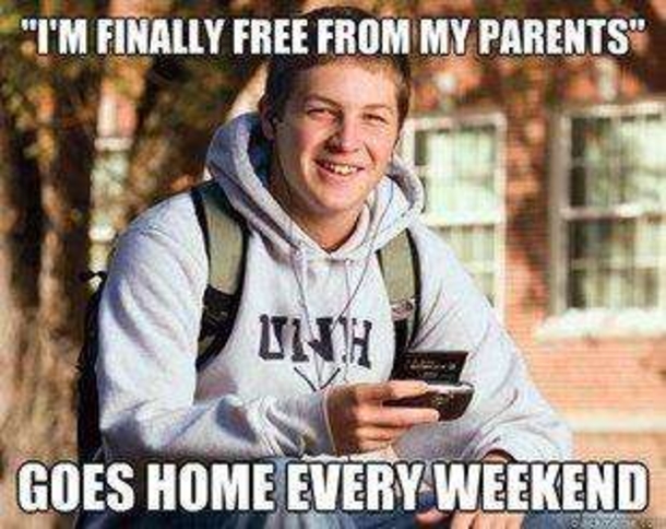 10 Best College Freshman Memes - picture 6