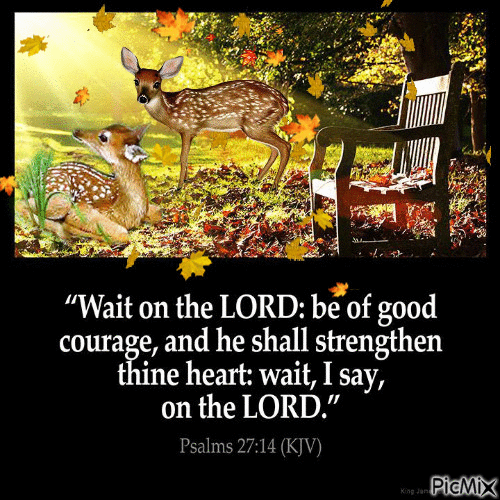 10 Best Daily Bible Verses To Inspire Your Life - picture 2