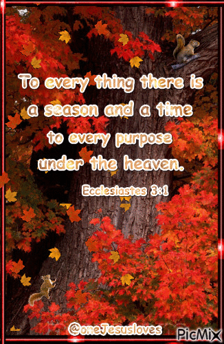 10 Best Daily Bible Verses To Inspire Your Life - picture 6