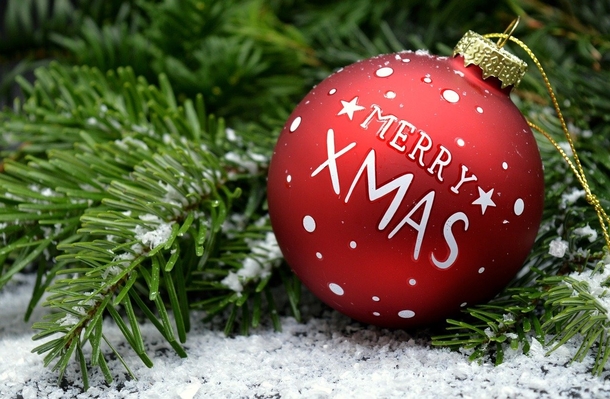 10 Best Decorated Christmas Ornament Ideas For 2023 - picture 13