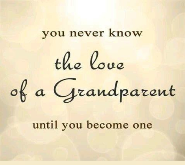 10 Best Family Quotes That Are Too Real To Ignore - picture 6