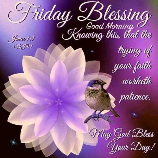10 Best Friday Morning Quotes, Images And Sayings - picture 11