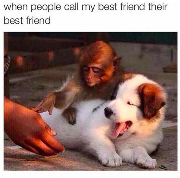 10 Best Friend Memes That Show How Close You And Your Bestie Are - picture 2