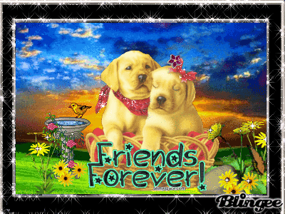 10 Best Friend Quotes, Sayings & Gifs - picture 7