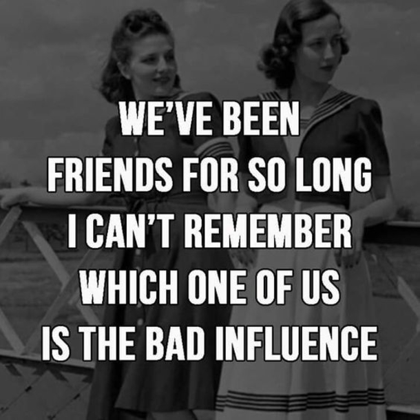 10 Best Funny Friend Quotes And Sayings - picture 11