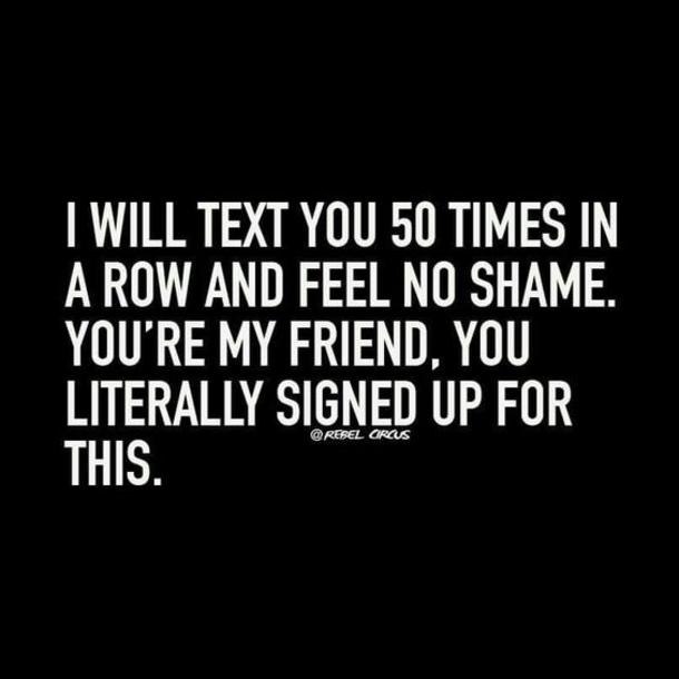 10 Best Funny Friend Quotes And Sayings - picture 2
